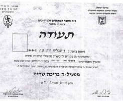 מפעיל בריכות שחיה